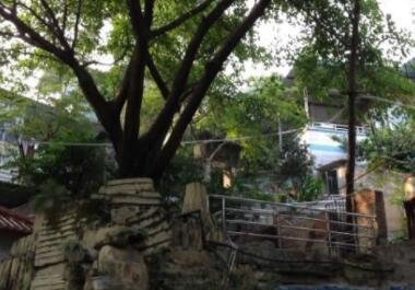 重庆南岸九九颐园老年公寓_重庆老年护理院列举几家,重庆老年养护中心