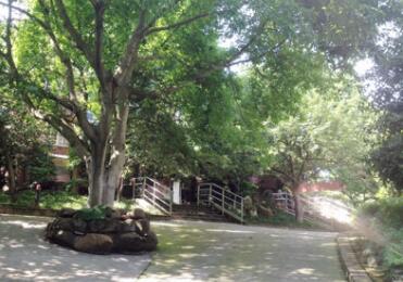 重庆南岸松林养老院环境图片