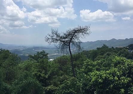 重庆南岸区南山松翠园老年公寓_重庆顶级老年公寓