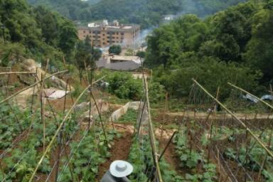 重庆巴南怡心园老年公寓环境图片