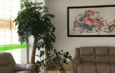 上海乐缘养老院环境图片