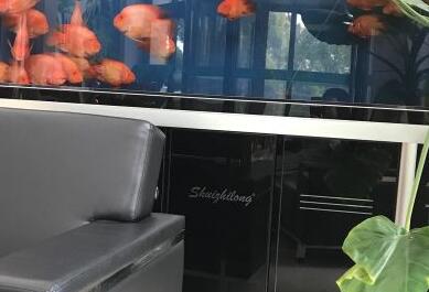 上海城花智汇坊_上海闵行区最贵养老院,上海闵行区最贵养老院排名