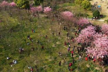 上海市宝山区峰华养老院_上海宝山区豪华养老院一览表,上海宝山高端养老院