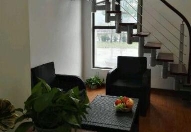 上海松江泗泾亲和源环境图片