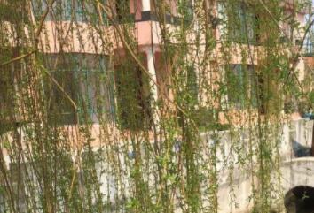 上海五星级养老院收费价格表