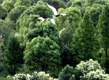 上海养老院怎么样,上海养老院怎么样收费