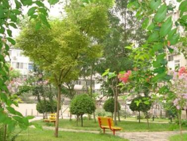 北京西城区西长安街银轩敬老院环境图片