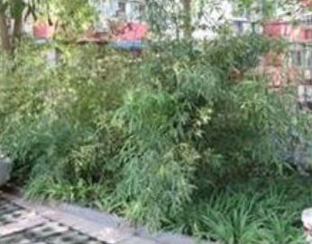 北京向融老年公寓环境图片