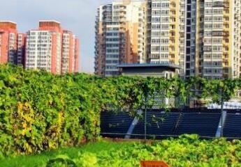 北京圣泽峰老年公寓（三间房分部）环境图片