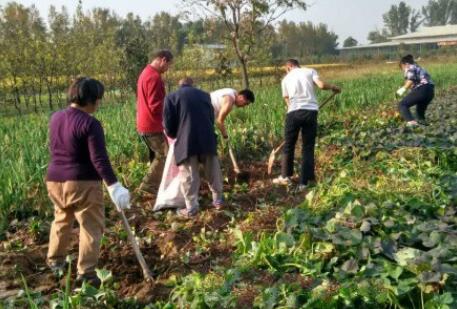 北京市海淀区海峰老年公寓环境图片