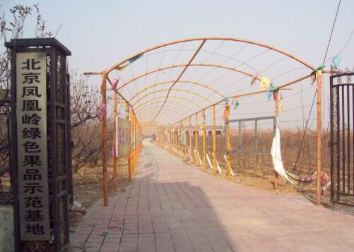 北京市海淀区聂各庄敬老院环境图片