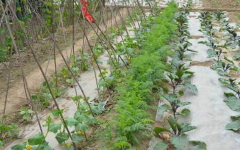 北京市海淀区万泉敬老院_北京海淀区环境好的老年公寓目录