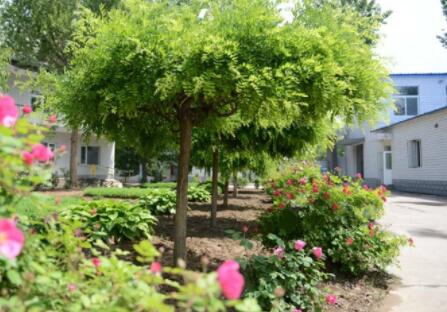 北京市通州区马驹桥镇敬老院环境图片