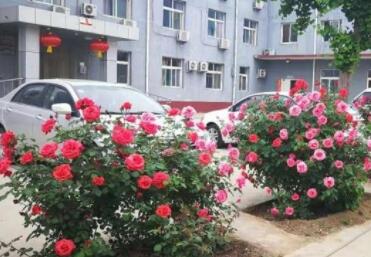 顺义区六福全营养老服务中心_北京顺义区老年痴呆养老院有哪几家