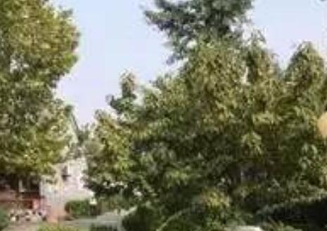 北京市大兴区榆垡镇敬老院_北京养老院名单一览,北京848个养老院一览表