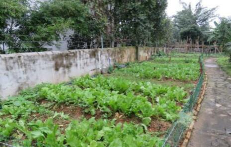 龙华区龙桥敬老院_海口失智养老院,海口老年康养中心