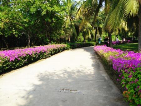 三亚白鹭海之家老年公寓环境图片