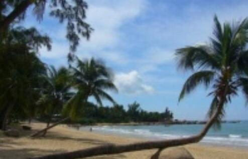 三亚天涯海角养老公寓环境图片