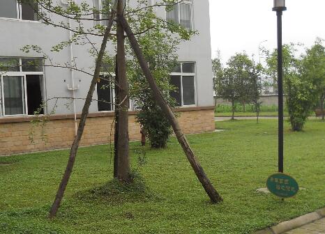 双流县九江敬老院