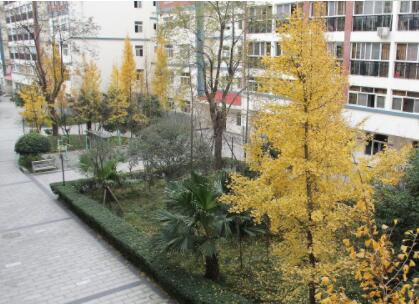 成都西蜀康馨缘颐养中心_成都温江区失智养老院价格一览表,成都失智老人养老院