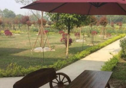 成都新都石云养老院环境图片