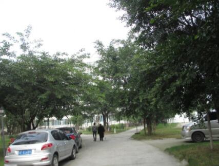 成都新都区红星老年康疗院环境图片