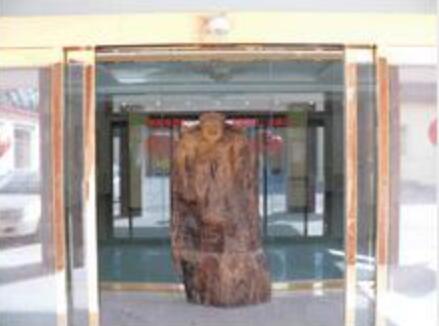 天津市志成养老院环境图片