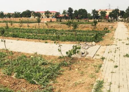 天津阳光爱馨养老社区环境图片