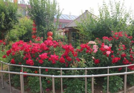 太原福乐居敬老院_太原附近养老院费用价格,太原养老院哪家好些