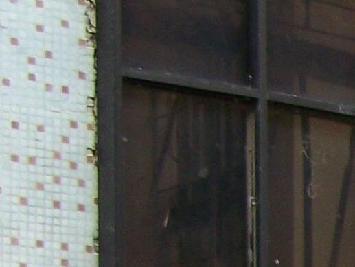 海口美兰区椰岛之家老年公寓环境图片