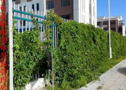 呼和浩特市老年公寓_呼和浩特最贵老年护理院,呼和浩特市老年公寓哪家最大