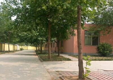 石家庄价格便宜养老院怎么样