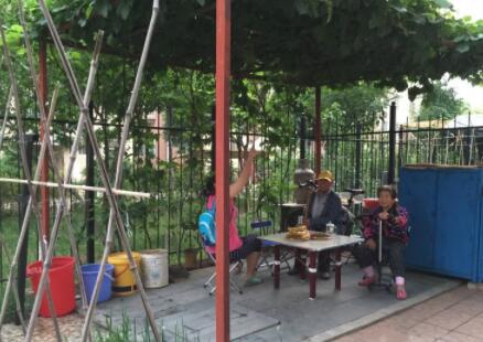 沈阳市沈北新区博大老年公寓_沈阳10000元以上老年护理院一览表