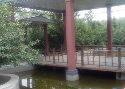 沈阳世外桃源老年养护中心_沈阳比较好的老年公寓名单一览,沈阳高档老年公寓