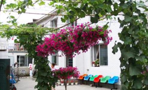 长春市绿园区幸福护理院环境图片