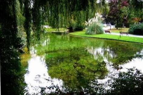 长春市宽城区颐心老年公寓环境图片