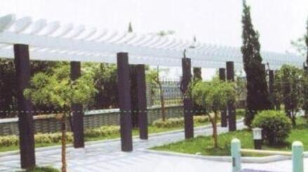 杭州市滨江区西兴镇敬老院环境图片