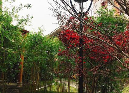 福州市国德老年康养中心_福州4000元养老院电话,福州养老院排名信息