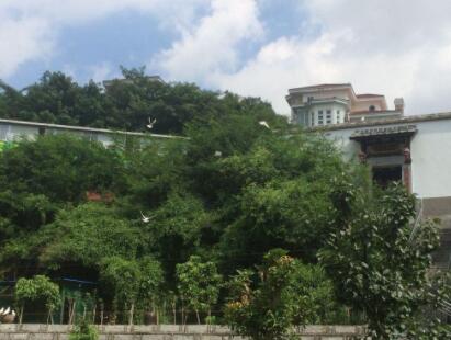 福建省福州市社会福利院_福州环境好的养老院地址在哪,福州较好的养老院