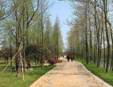 杭州市皋亭山养老院环境图片