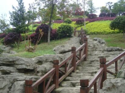 长沙康乃馨国际老年生活示范城环境图片