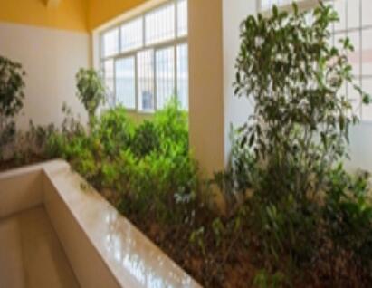 广州市安泰老年公寓_广州最贵养老院,广州最高端养老院