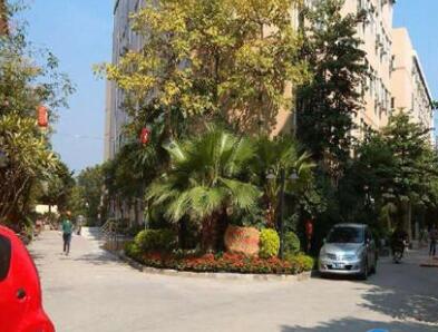 广州3000-5000养老院目录