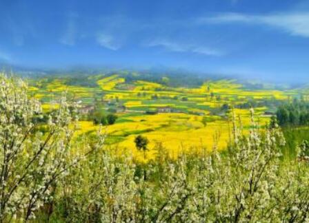 南宁太和自在城环境图片