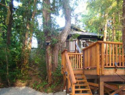 贵州景阳森林疗养院环境图片