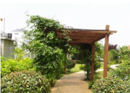 昆明重阳老年病康复院_昆明性价比高的养老院收费标准