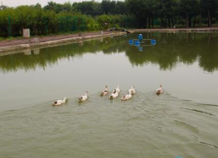 西安沣峪口滦镇养老公寓环境图片