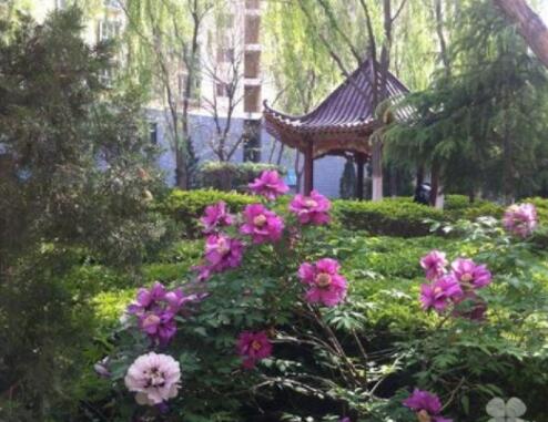 兰州养老院有哪些？