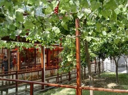 杭州和睦老人公寓环境图片