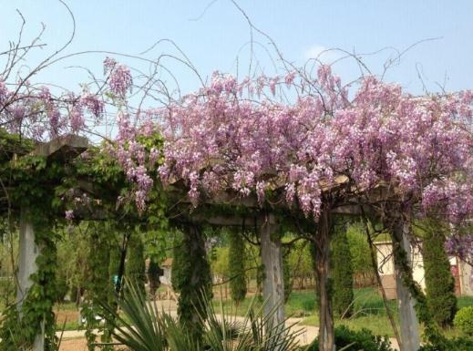 徐州铜山区悠然老年公寓_徐州高级的老年公寓名单一览,徐州公办养老院有哪些